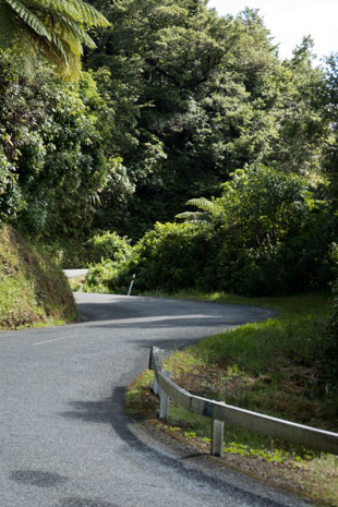 Queen Charlotte Drive