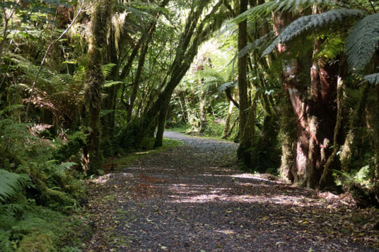 Te Weheka Cycle Way