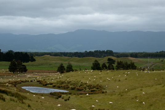 Blick südlich von Martinborough auf die Rimutaka Range