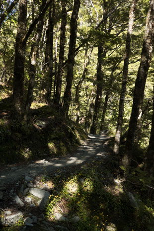 Rob Roy Valley Track