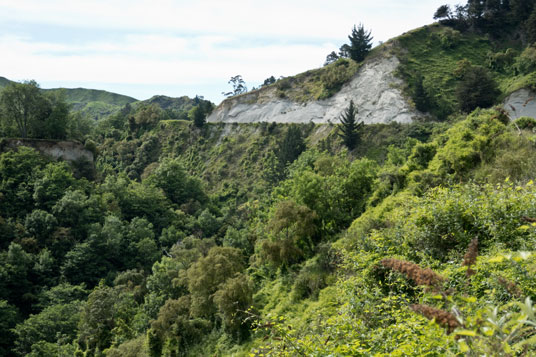 Ruahine Road