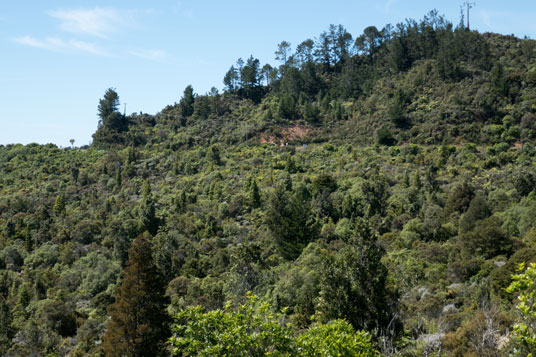 SH25 zwischen Whenuakite und Tairua