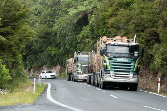 SH25 zwischen Whiritoa und Waihi