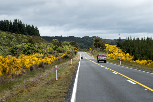 SH46 westlich vom Lake Rotoaira