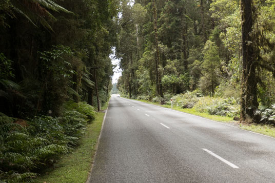 SH6 im Regenwald östlich von Knight's Point