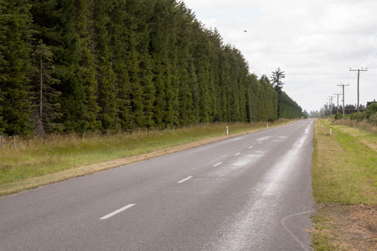 Windschutz am SH72 nördlich von Mayfield