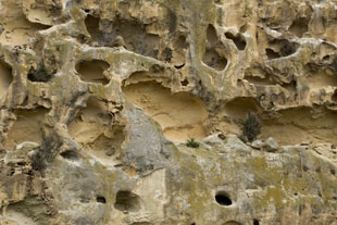 Takiroa Maori Rock Art