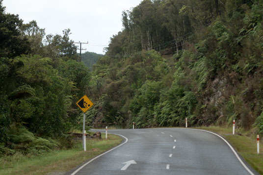 Taylorville Road bei der Brunner Mine