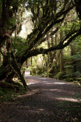 Te Weheka Cycle Way