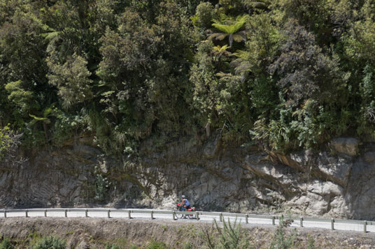 Totaranui Road