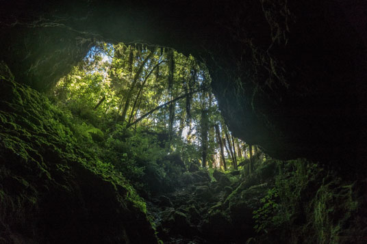 Tunnel Cave