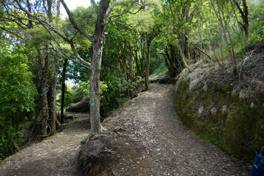 Abstieg vom Ende der Waotu South Road zum Waikato River (Arapuni Section)