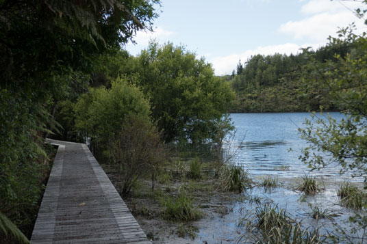 Waikato River Trail am Lake Waipapa (Waipapa Section)