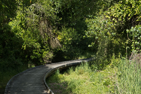 Waikato River Trail am Lake Maraetai bei Mangakino