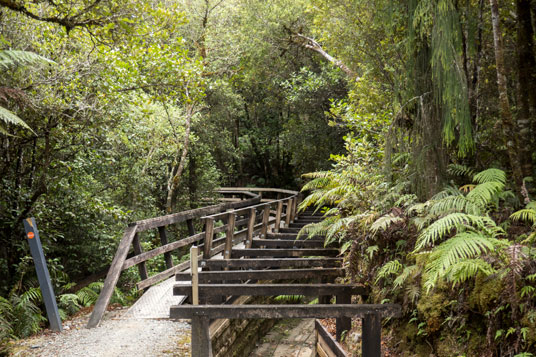 West Coast Wilderness Trail entlang alter Kanäle der Goldgräber vor Lake Kaniere