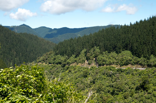 SH6 am Whangamoa Saddle