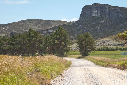 Wharariki Road nördlich von Puponga