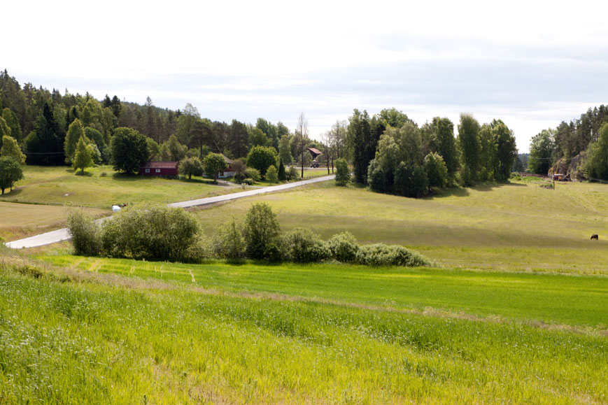 Fv226 in der Nähe des Hemnesjøen