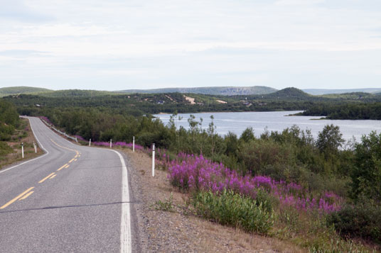 Straße 93 und der Kautokeinoelva 25 Kilometer nördlich von Kautokeino, Norwegen