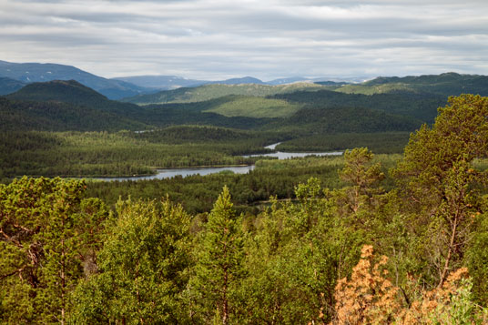 Zwischen Karasjok und Lakselv, Norwegen