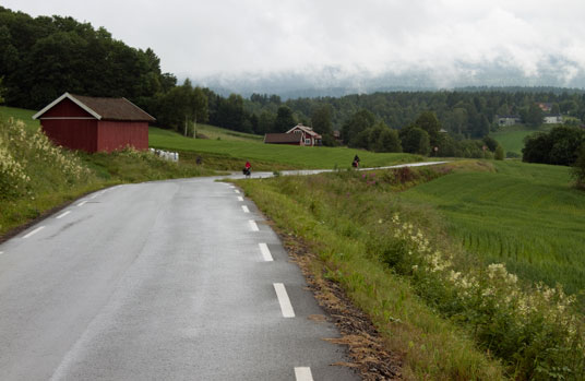 Numedalen bei Hillestad