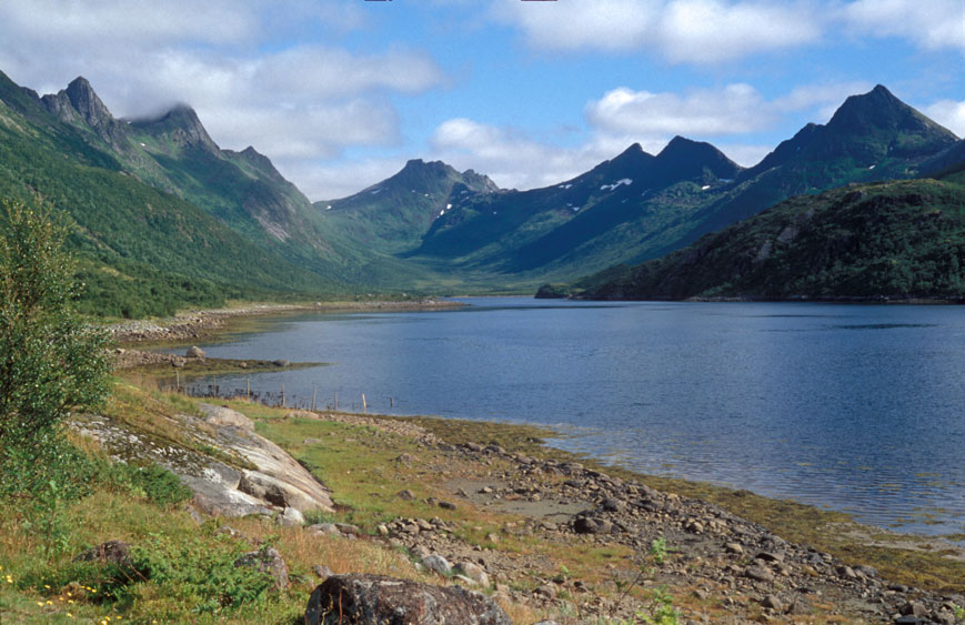 Olderfjord, Lofoten