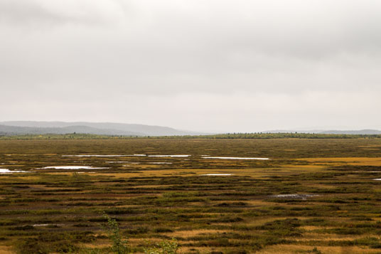 Bild: Riesige Sumpfflächen (Ferdesmyra) zwischen Bugøyfjord und Neiden