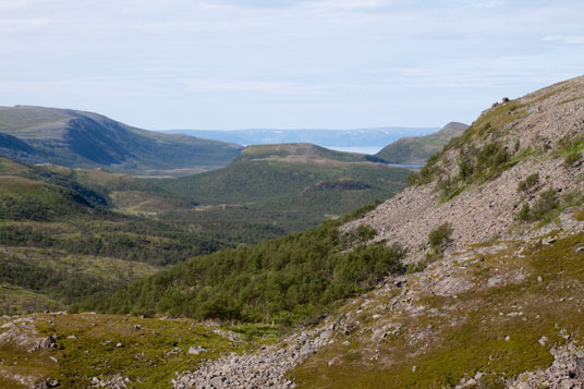 Torskefjorddalen, Norwegen