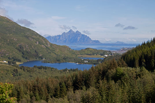 Vågakallen, Lofoten