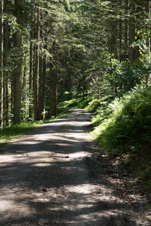 Radweg München-Venedig bei Achenwald, 104,6 km ab München