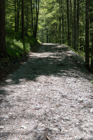 Radweg München-Venedig westlich vom Sylvensteinstausee, 96 km ab München