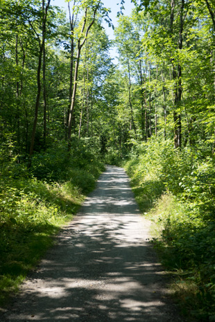 Radweg München-Venedig an der Isar nördl. von Lenggries, 69,5 km ab München