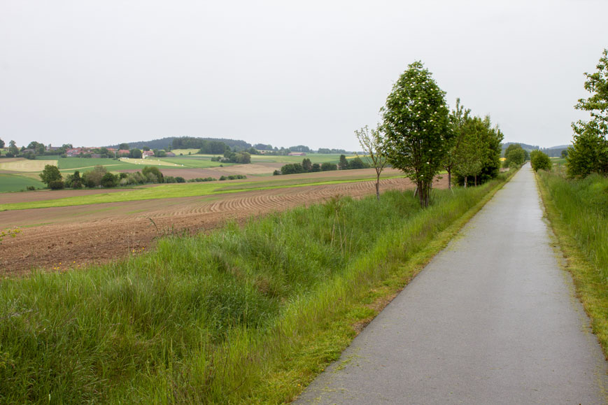 Bockl-Radweg südöstlich von Floß