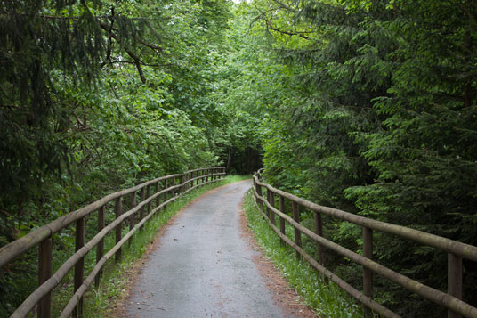 Bockl-Radweg nordöstlich von Altenstadt