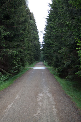 ockl-Radweg nordöstlich von Altenstadt, 28 km hinter Neustadt