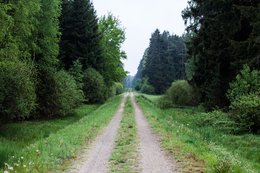 Bockl-Radweg südlich von Waidhaus