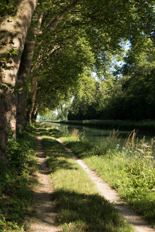Paneuropa-Radweg entlang des Canal Latéral á la Marne