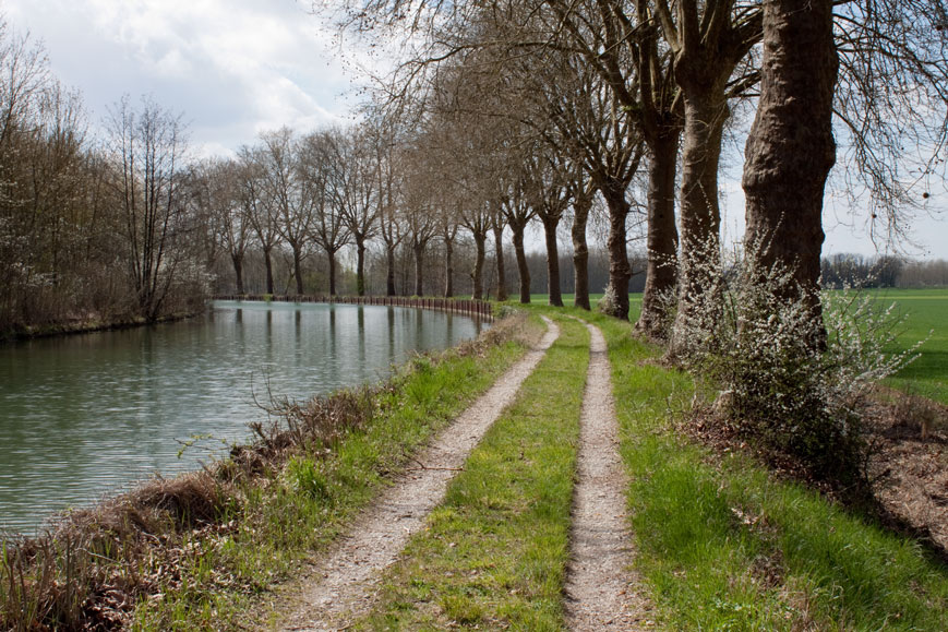 Paneuropa-Radweg am Canal de la Marne au Rhin