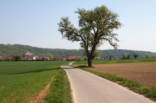 Neckar-Radweg bei Obrigheim