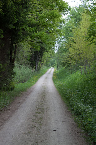 Paneuropa-Radweg