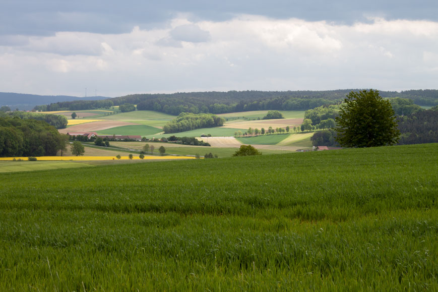 Zwischen Schalkenthan und Kainsricht