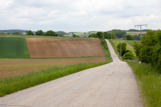 Paneuropa-Radweg bei Kainsricht