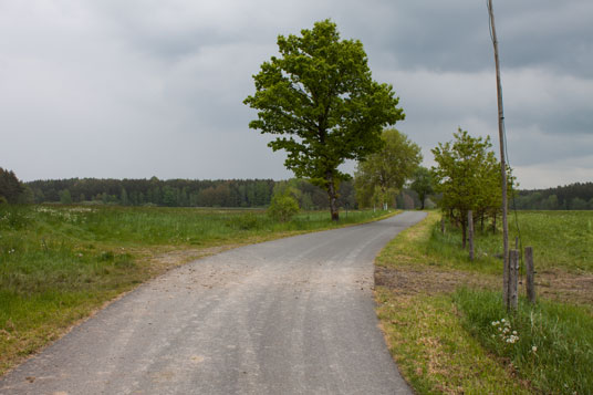 Paneuropa-Radweg östlich von Dubec