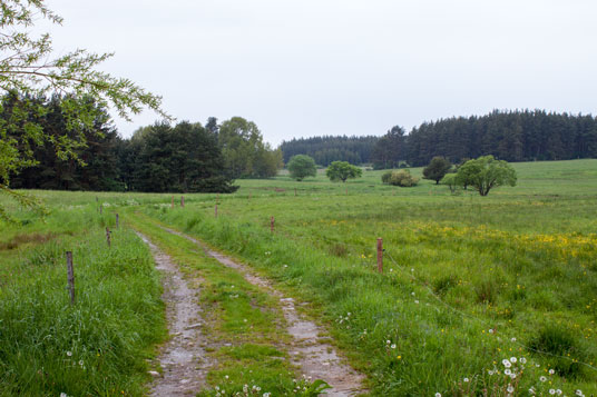 Paneuropa-Radweg zwei Kilometer östlich von Staré Sedlo