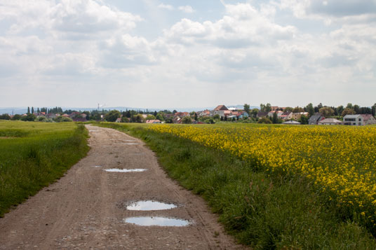 Zwischen Kozolupy und Křimice