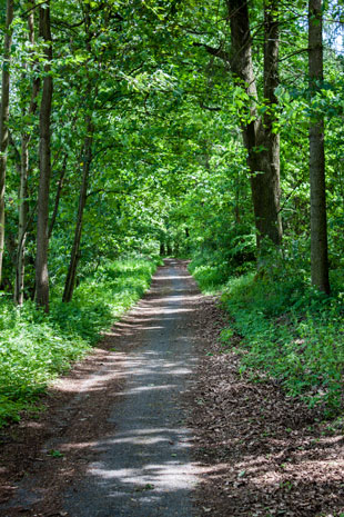 Paneuropa-Radweg zwischen Červený Hrádek und Kyšice