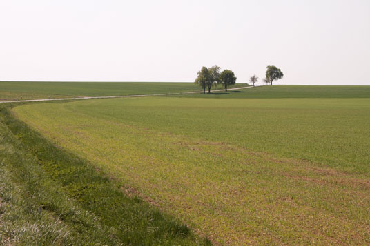 Paneuropa-Radweg vor Schrozberg