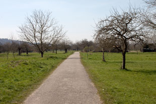 Paneuropa-Radweg bei Malsch