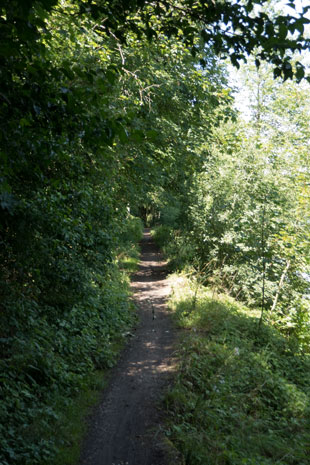 Schmaler Paneuropa-Radweg bei Sexey-aux-Forges