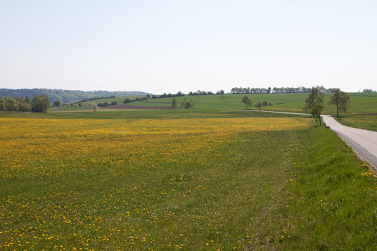 Paneuropa-Radweg bei Nordenberg